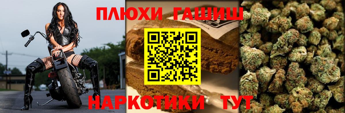 ГАШ гарик Щёкино