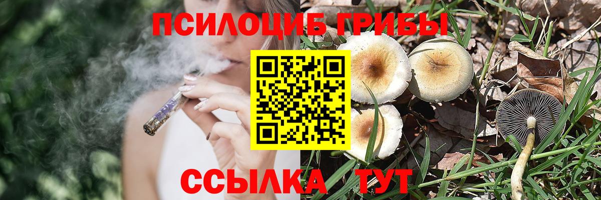 купить наркоту  Вход с VPN  Щёкино  Псилоцибиновые грибы MAGIC MUSHROOMS 