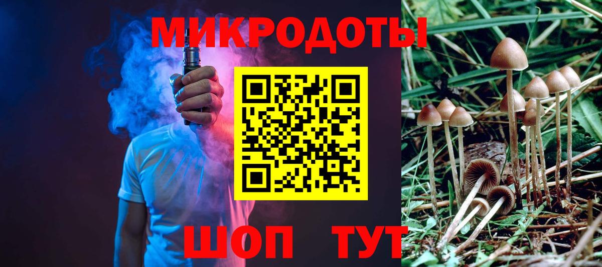 Галлюциногенные грибы Psilocybe Щёкино